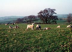 1974 UK Yorkshire Dales 012